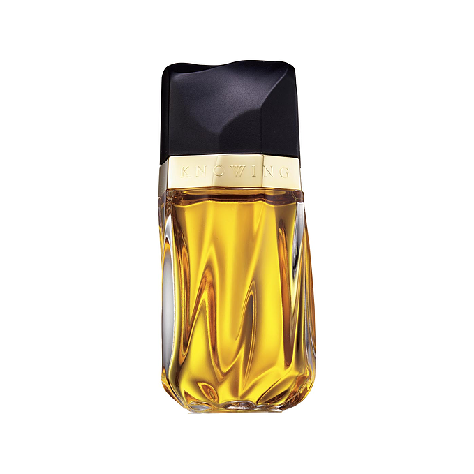 Estée Lauder Knowing