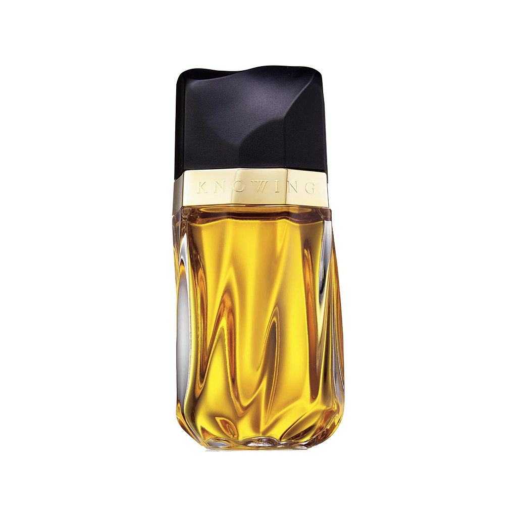 Estée Lauder Knowing