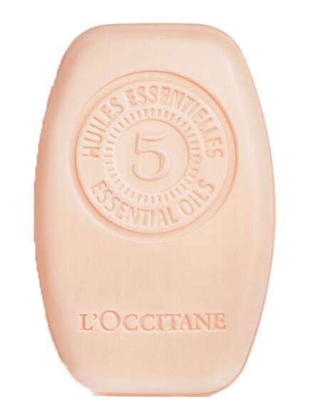 L'Occitane en Provence 5 essential oils repair solid shampoo