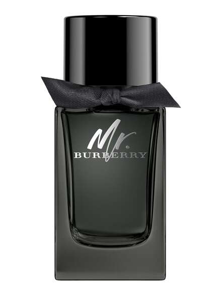 Burberry Mr. Burberry Eau de Parfum 100ml