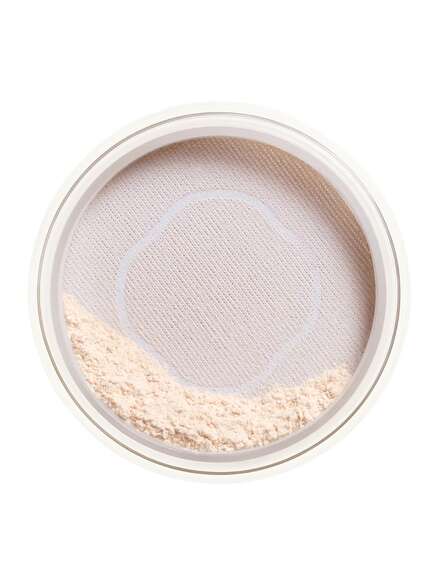 Shiseido Synchroskin Invisible Loose Powder Matte 