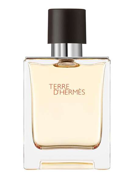 Hermès Terre d'Hermès Eau de Toilette 50 ml