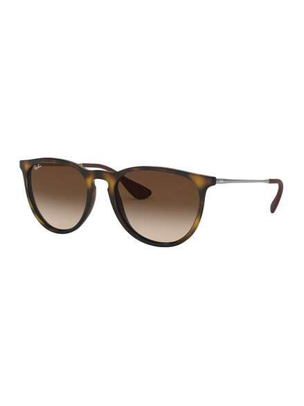 Ray-Ban Erika Sunglasses