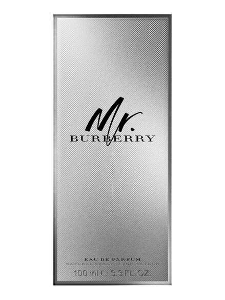 Burberry Mister Burberry