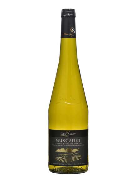 Guy Saget, Sevre et Maine sur Lie