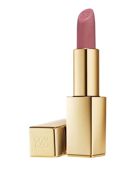 Estée Lauder Pure Color Matte Lipstick No. 816 - Suit Up