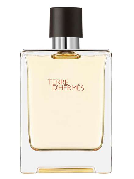 Hermès Terre d'Hermès Eau de Toilette 100 ml