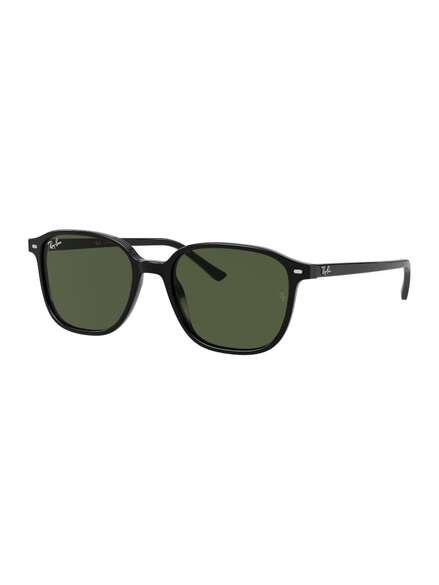 Ray-Ban Leonard sunglasses