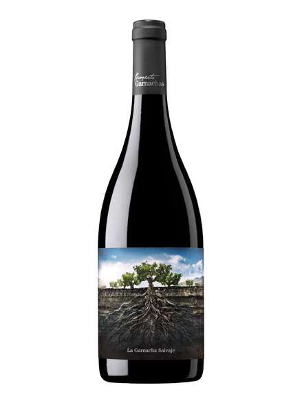 Proyecto Garnachas Moncayo