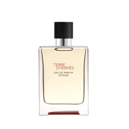 Hermès Terre d'Hermès Eau de Parfum Intense 100 ml