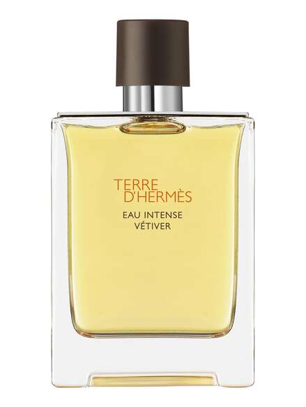 Hermès Terre d'Hermes Eau de Parfum Eau Intense Vetiver 100 ml