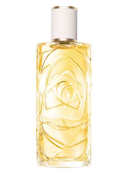 Lancôme Ô de Lancome O Zenith Eau de Toilette 100 ml