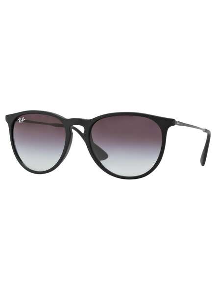 Ray-Ban Erika Sunglasses