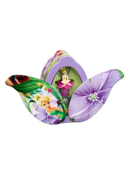 Disney World's Fairies