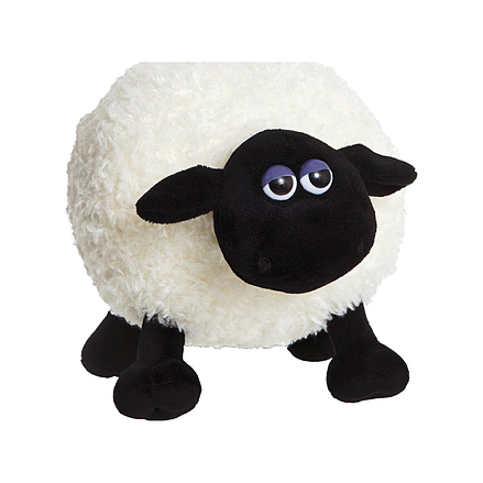 Aurora sauen Shaun Shirley