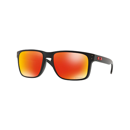 Oakley Holbrook XL 009417