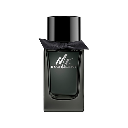 Burberry Mr. Burberry Eau de Parfum 100ml
