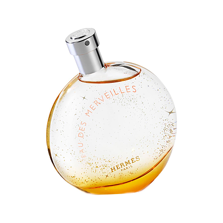 Hermès Eau des Merveilles Eau de Toilette 100 ml