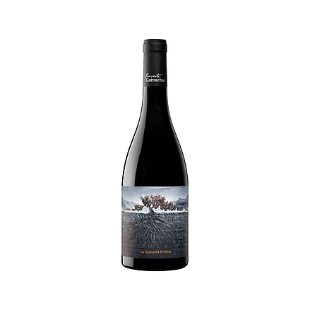 Proyecto Garnachas Perdida del Pirineo