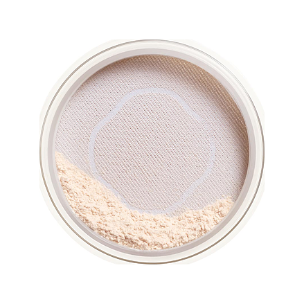 Shiseido Synchroskin Invisible Loose Powder Matte