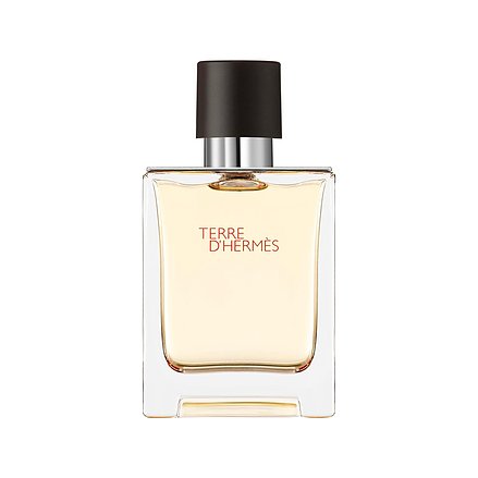 Hermès Terre d'Hermès Eau de Toilette 50 ml