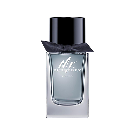 Burberry Mr. Burberry Indigo Eau de Toilette 100ml