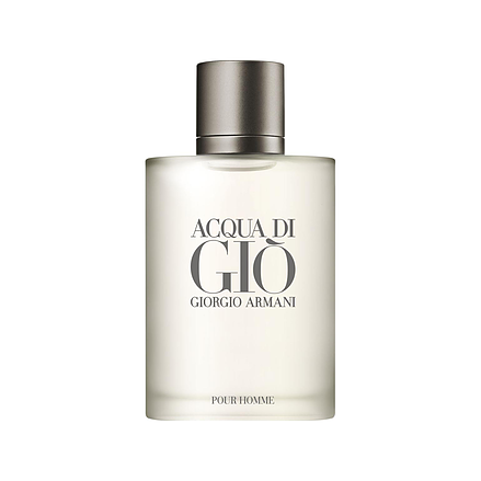 Giorgio Armani Acqua di Giò pour Homme Eau de Toilette 100 ml
