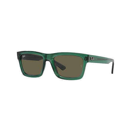 Ray Ban 0RB4396