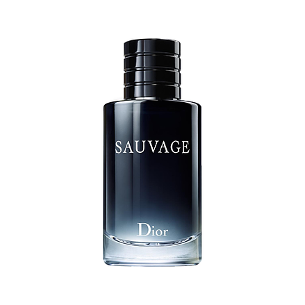 Dior Sauvage Eau de Toilette 100 ml
