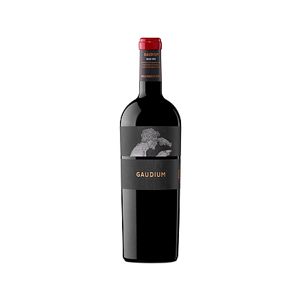 Marguès de Càceres Gaudium