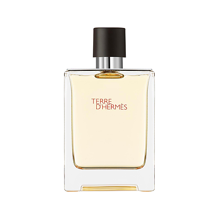 Hermès Terre d'Hermès Eau de Toilette 100 ml