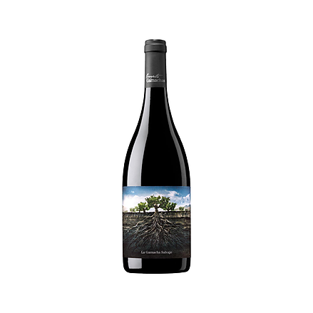 Proyecto Garnachas Moncayo