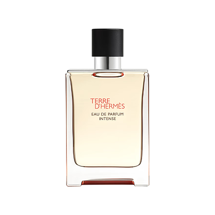 Hermès Terre d'Hermès Eau de Parfum Intense 100 ml