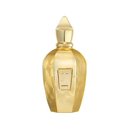 Xerjoff V Accento Overdose Eau de Parfum 100 ml