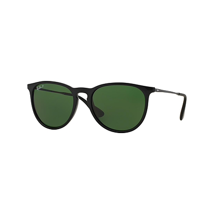 Ray-Ban Erika Sunglasses
