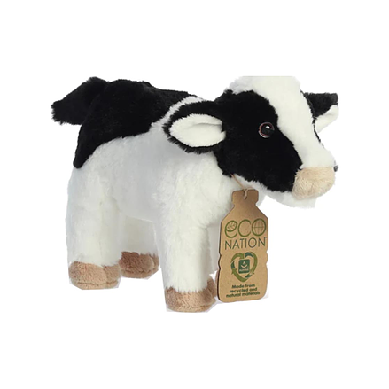 Aurora Eco Nation ku