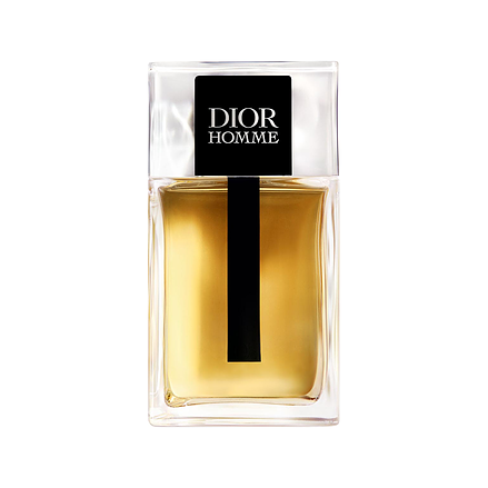 Dior Homme Eau de Toilette 100 ml