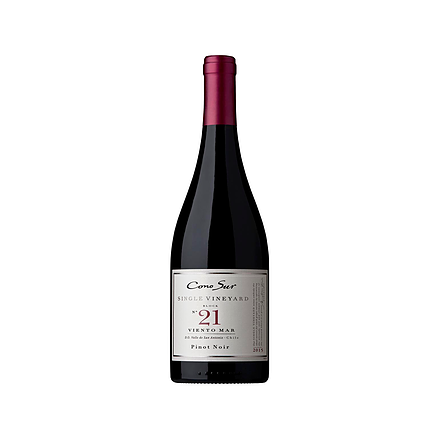 Cono Sur Singel Vineyard Block 21 Viento Mar Pinot Noir