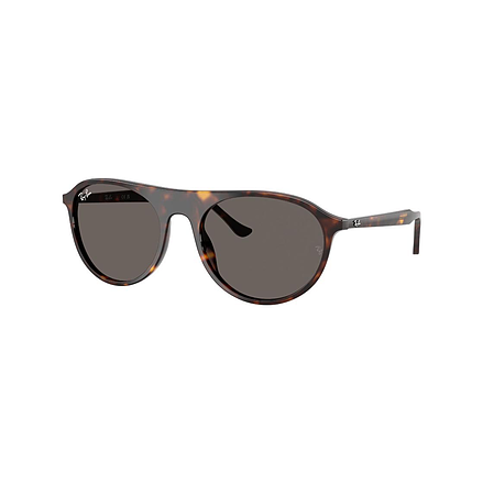 Ray Ban RB2215