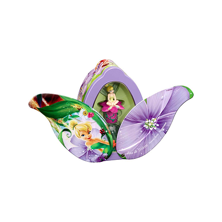 Disney World's Fairies