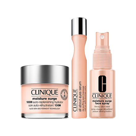 Moisture Surge All About Face Care Set