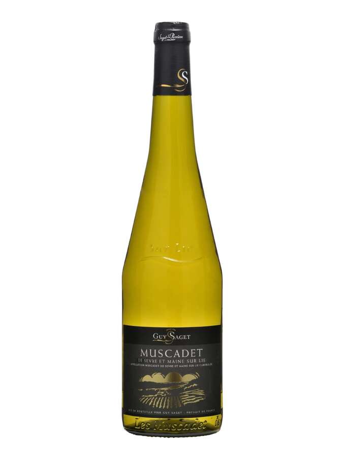 Guy Saget, Sevre et Maine sur Lie