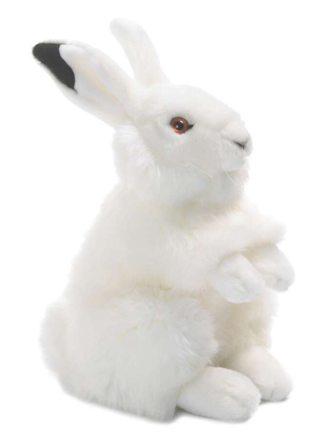 WWF Plush Snow Bunny