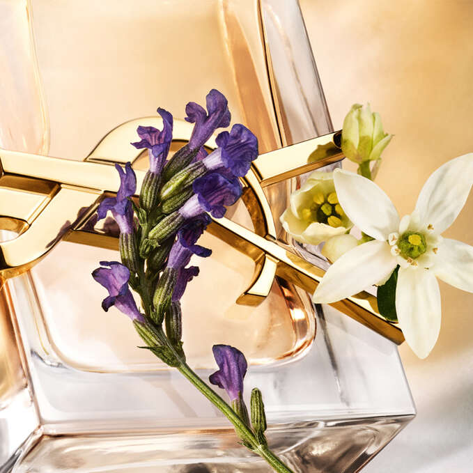 Yves Saint Laurent Libre Eau de Parfum 90 ml 1