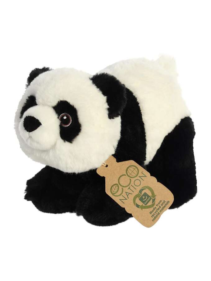 Aurora, Eco Nation panda