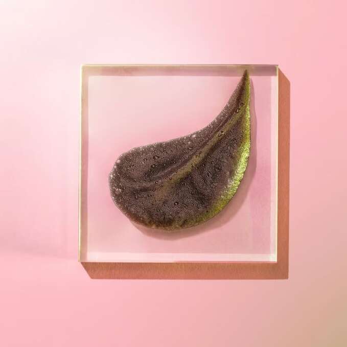 Glöd Sophie Elise Self Tan Mousse Color Perfection Emerald Medium 200ml 2