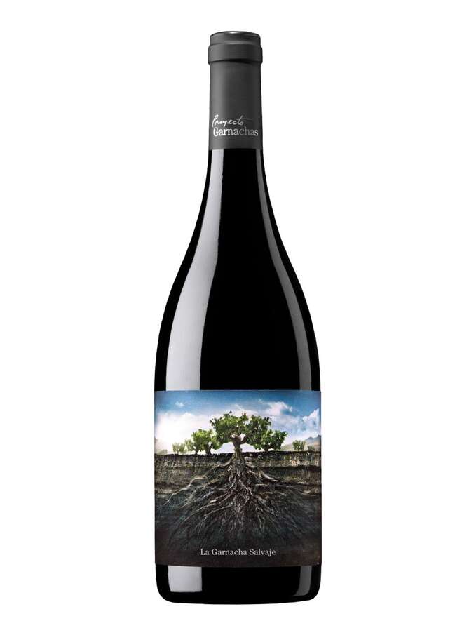Proyecto Garnachas Moncayo