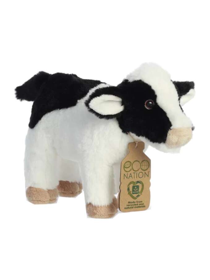 Aurora Eco Nation ku