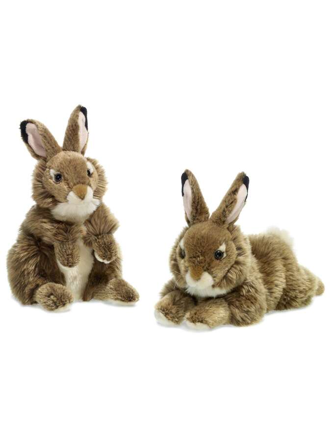 WWF Brown Rabbit