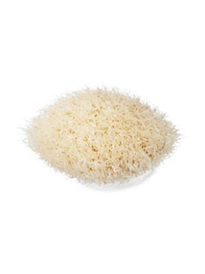 217S Blending Brush 2